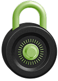100% Money Security
